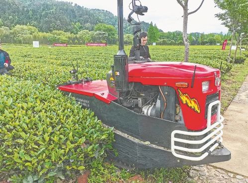 茶叶机械化与施肥机械的协同发展
